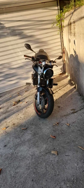     Honda Hornet