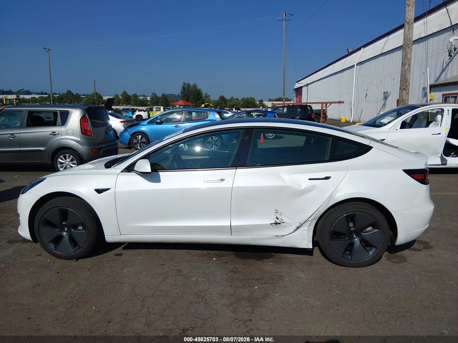 Tesla Model 3 REAR-WHEEL DRIVE