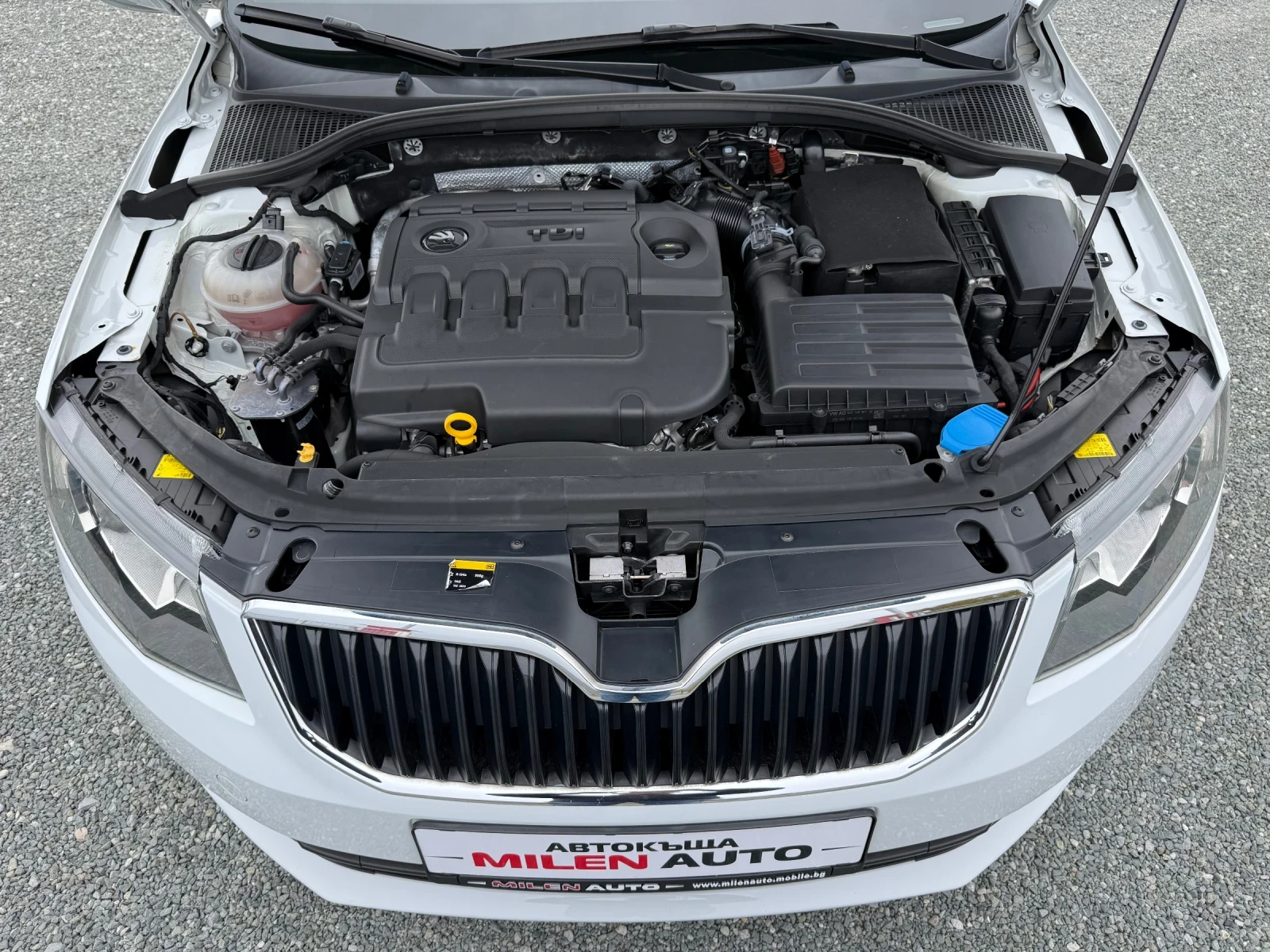 Skoda Octavia (KATO ) | Mobile.bg   17