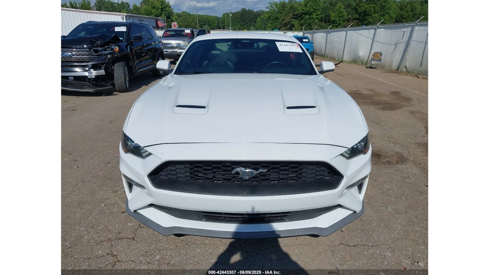Ford Mustang ECOBOOST PREMIUM | Mobile.bg   1