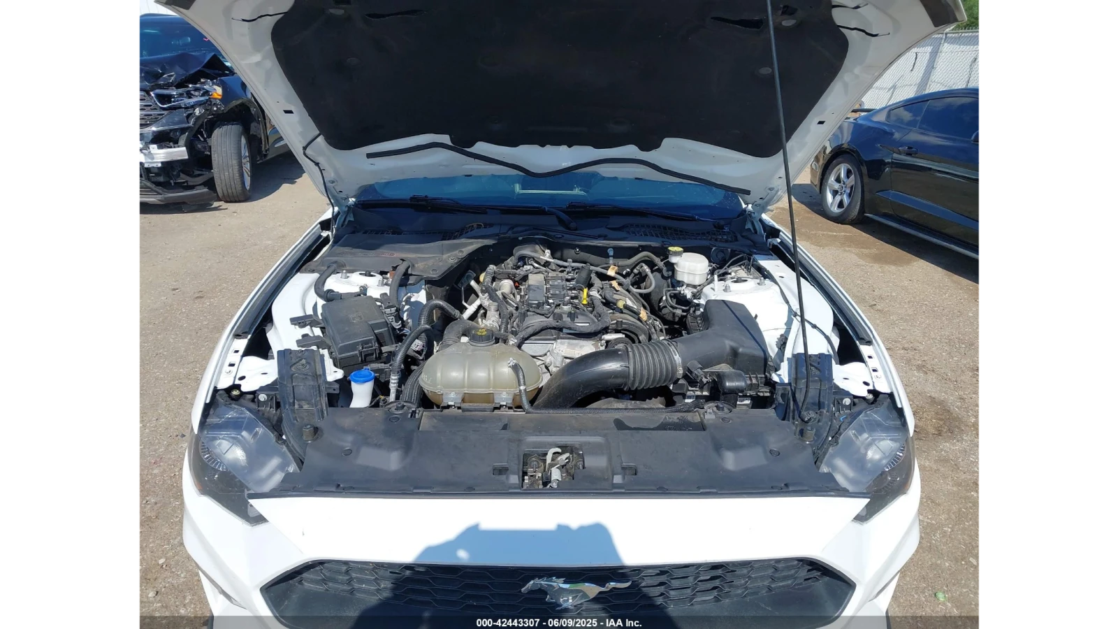 Ford Mustang ECOBOOST PREMIUM - изображение 2