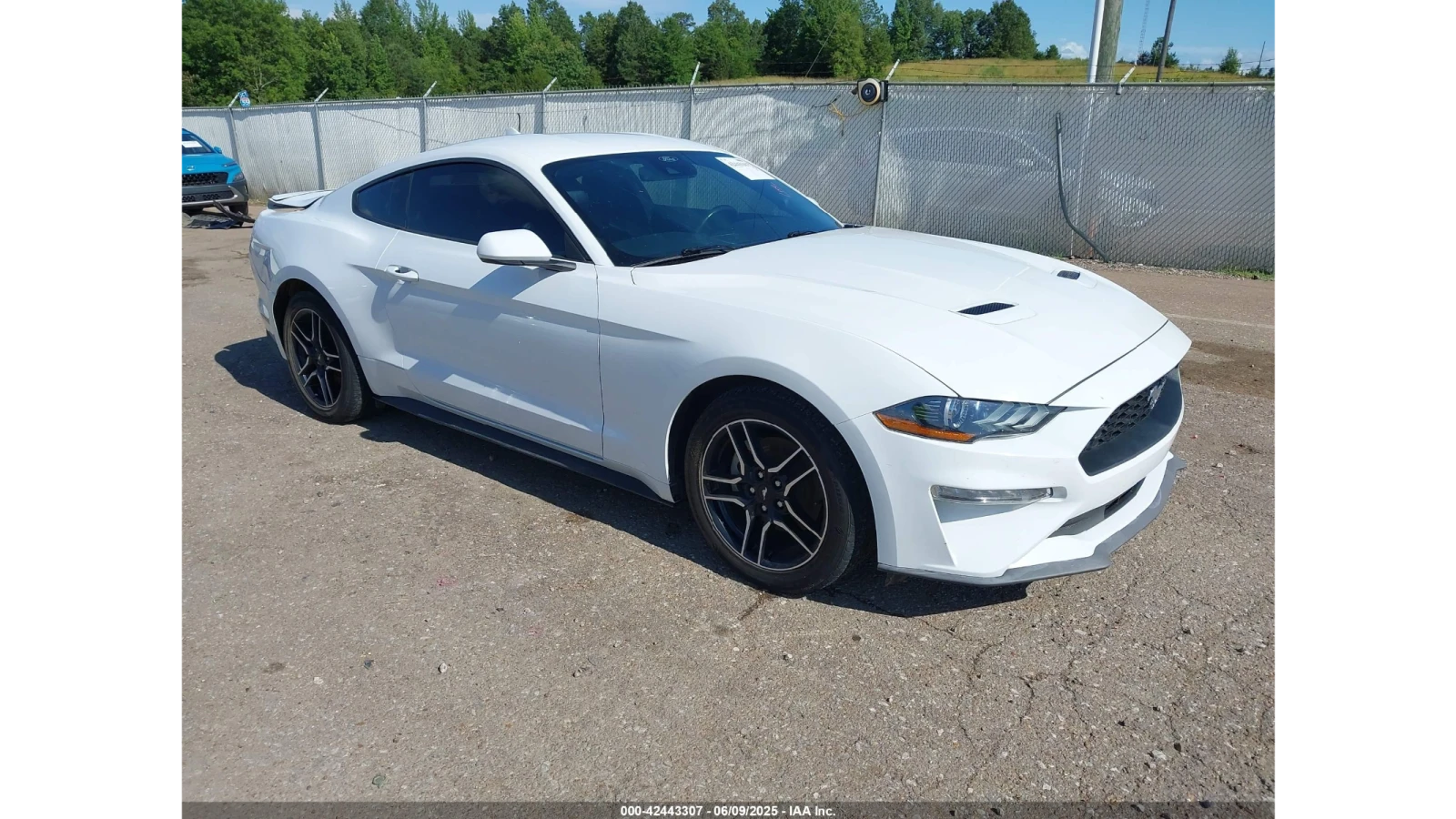 Ford Mustang ECOBOOST PREMIUM - изображение 3