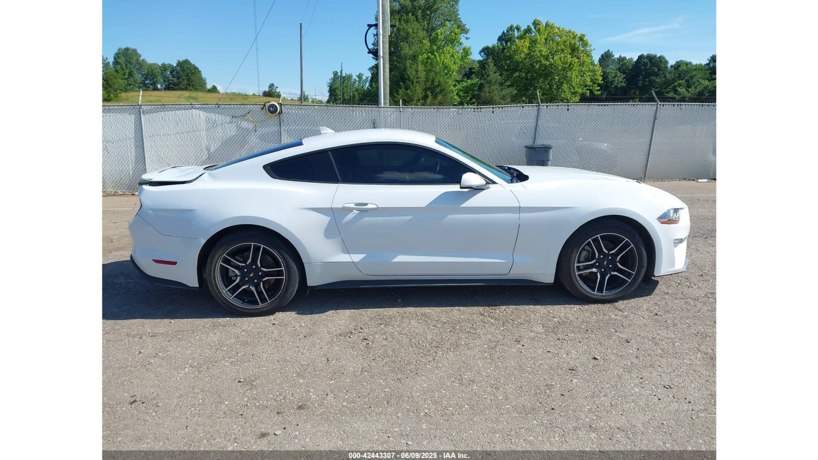 Ford Mustang ECOBOOST PREMIUM - изображение 5
