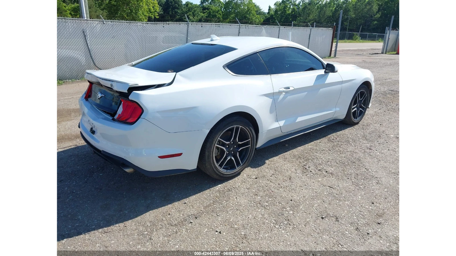 Ford Mustang ECOBOOST PREMIUM | Mobile.bg   11