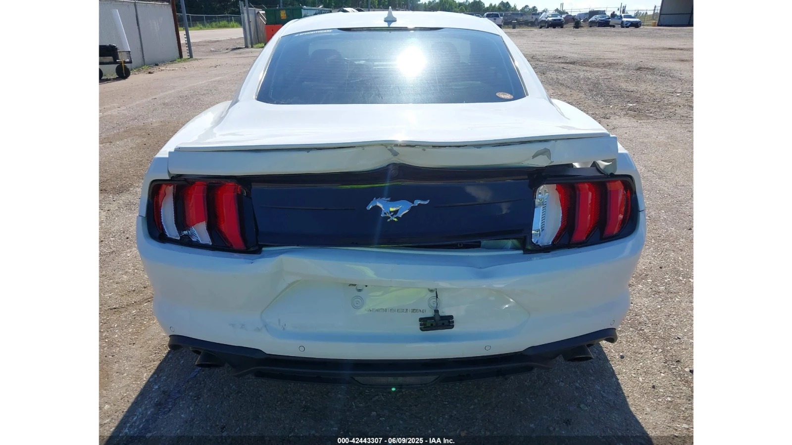 Ford Mustang ECOBOOST PREMIUM | Mobile.bg   12