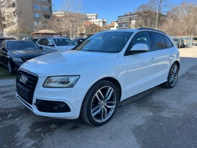 Audi SQ5 Executive 