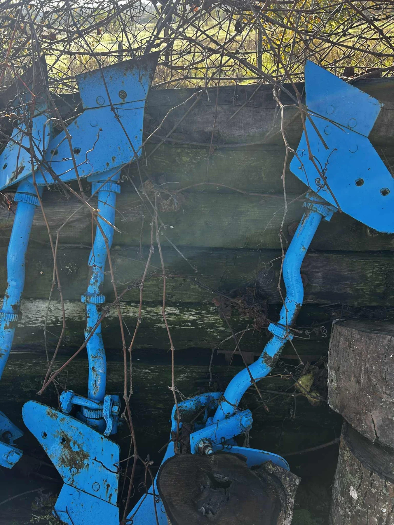 ������������ ���� ���� | Mobile.bg � ����������� 1