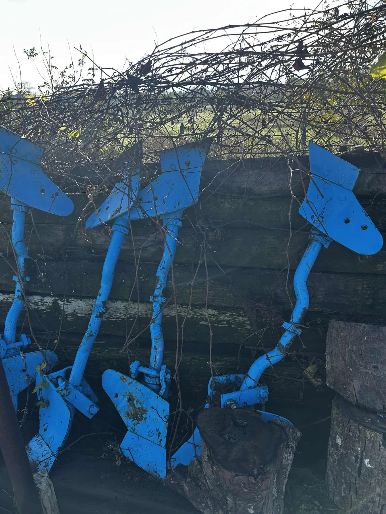 ������������ ���� ���� | Mobile.bg � ����������� 2