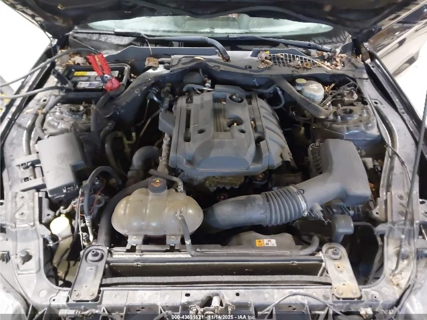 Ford Mustang ECOBOOST / /  /   | Mobile.bg   12