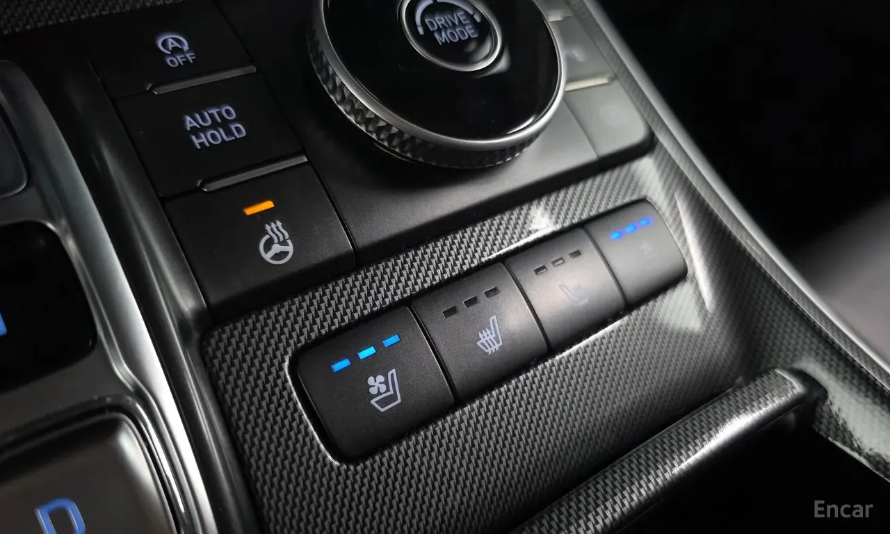 Hyundai Santa fe 2.2 , снимка 12 - Автомобили и джипове - 54711215