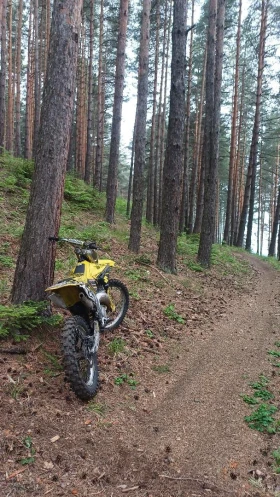Suzuki Rm 125 2T, снимка 9