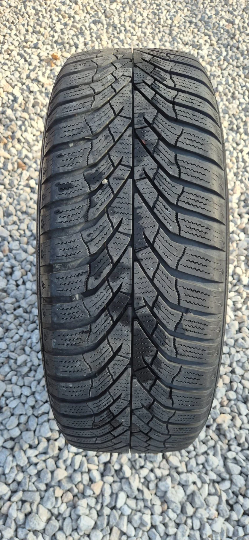���� � ������ 205/60R16 �� Nissan | Mobile.bg � ����������� 2
