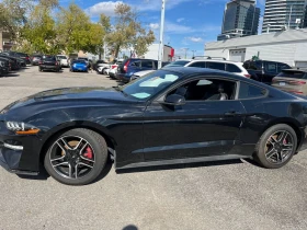 Ford Mustang * EcoBoost Fastback * CARFAX * БЕЗ ПЪРВОНАЧАЛНА ВН - 28300 лв. / 14469.56 € - 22084969 2