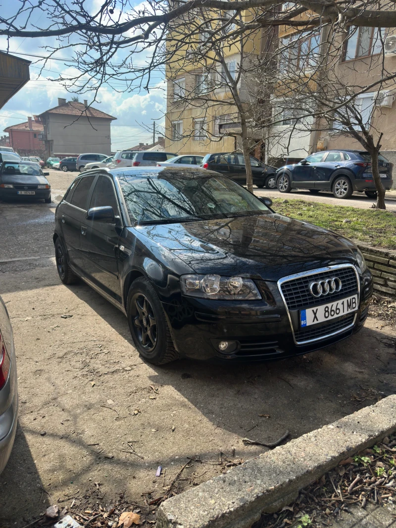 Audi A3 8p 1.9 Tdi, снимка 2 - Автомобили и джипове - 49349187