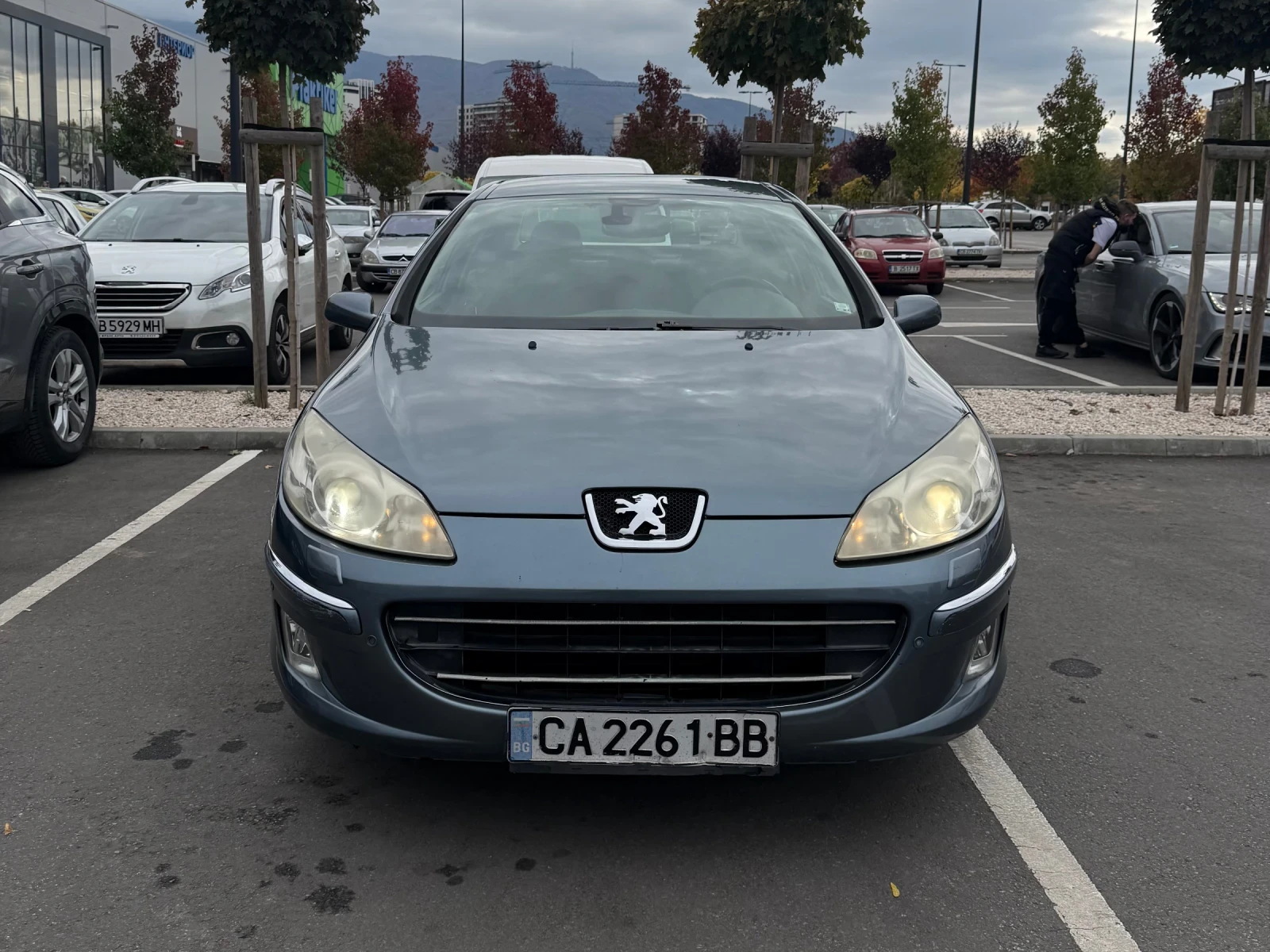 Peugeot 407