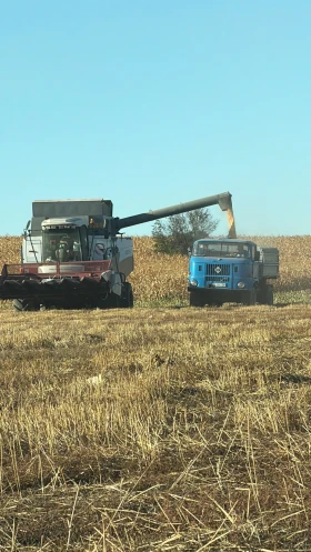Ifa W, снимка 9