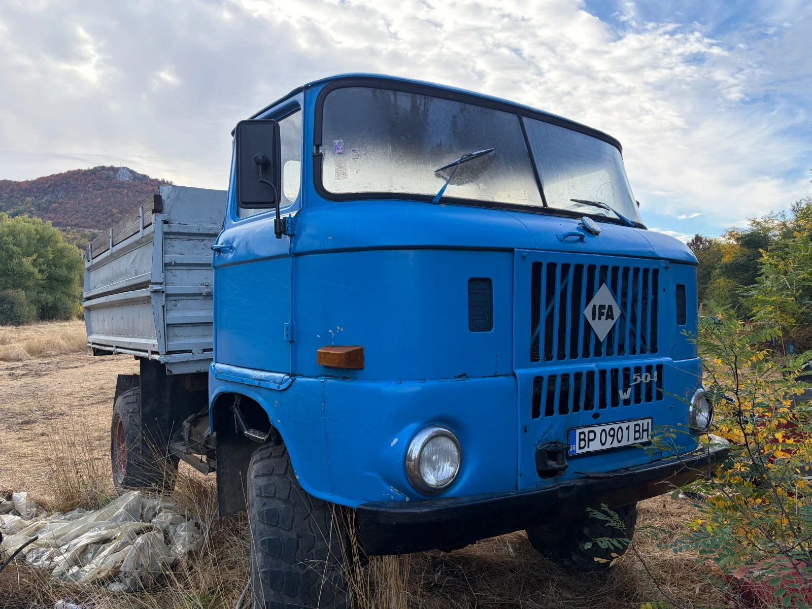 Ifa W