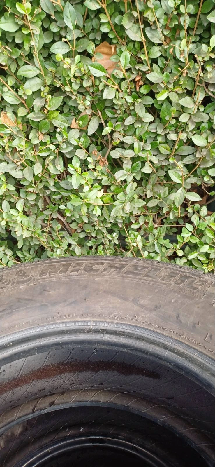 Гуми Зимни 225/75R16, снимка 6 - Гуми и джанти - 52130976