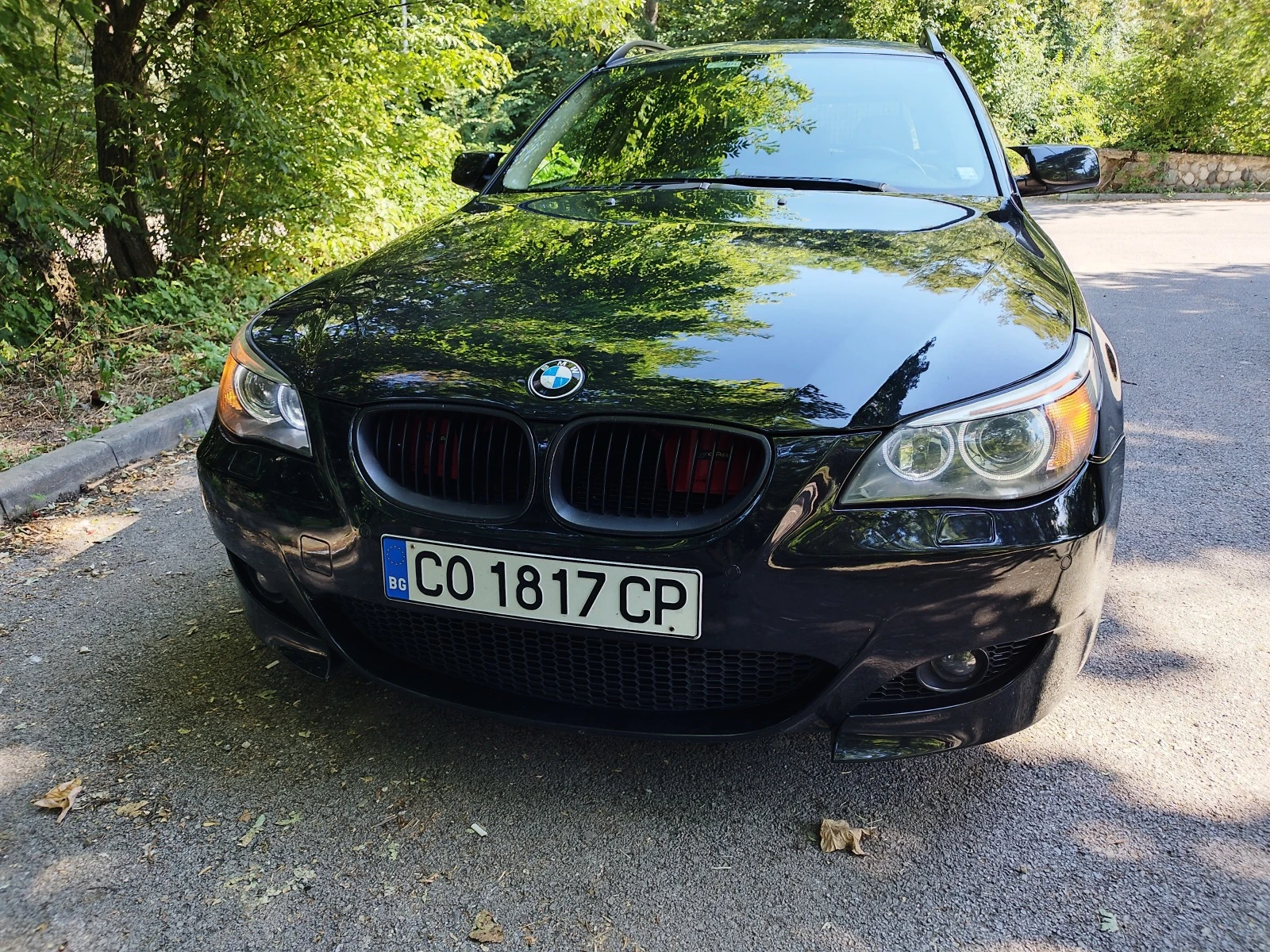 BMW 525 525d - изображение 3