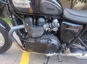Triumph Bonneville T100 Black | Mobile.bg � ����� ������ 10