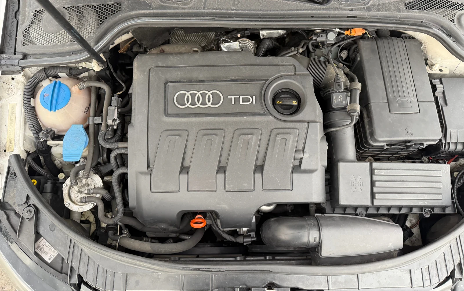 Audi A3 1.6 , 105 ����, FACELIFT, ���������� | Mobile.bg � ����������� 7