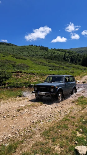 Lada Niva 1.7 Карбуратор, снимка 9