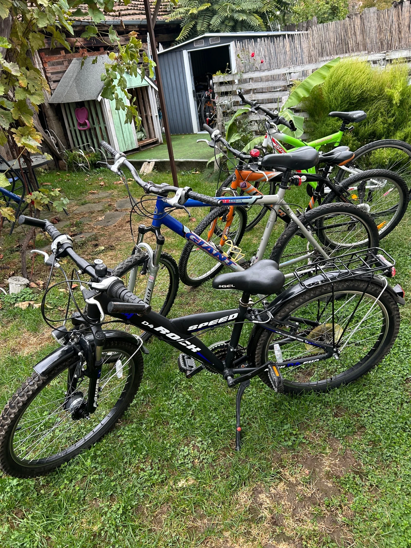  Gudereit, Hercules, Pegasus  -. | Mobile.bg   8