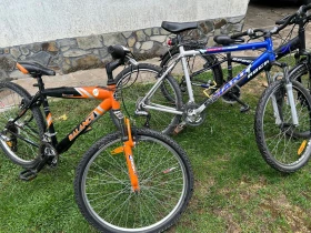  Gudereit, Hercules, Pegasus  -. | Mobile.bg    5