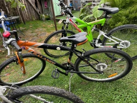  Gudereit, Hercules, Pegasus  -. | Mobile.bg    2