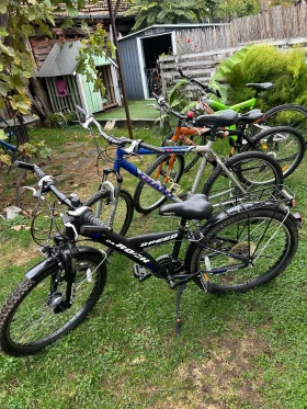  Gudereit, Hercules, Pegasus  -. | Mobile.bg    8