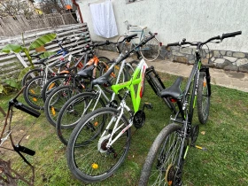  Gudereit, Hercules, Pegasus  -. | Mobile.bg    4