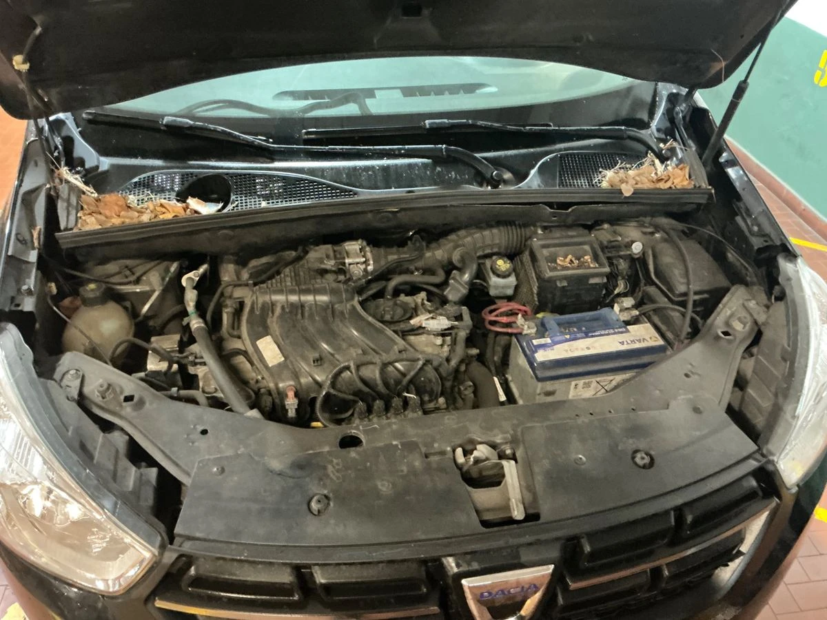 Dacia Dokker 1, 6 - АГУ - 5места, снимка 9 - Автомобили и джипове - 54208314