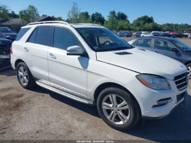Mercedes-Benz ML 350 - 21000 лв. - 54376567 7