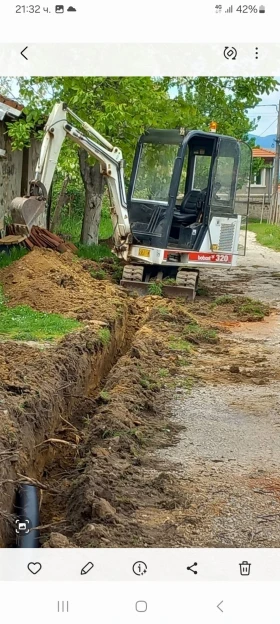   Bobcat