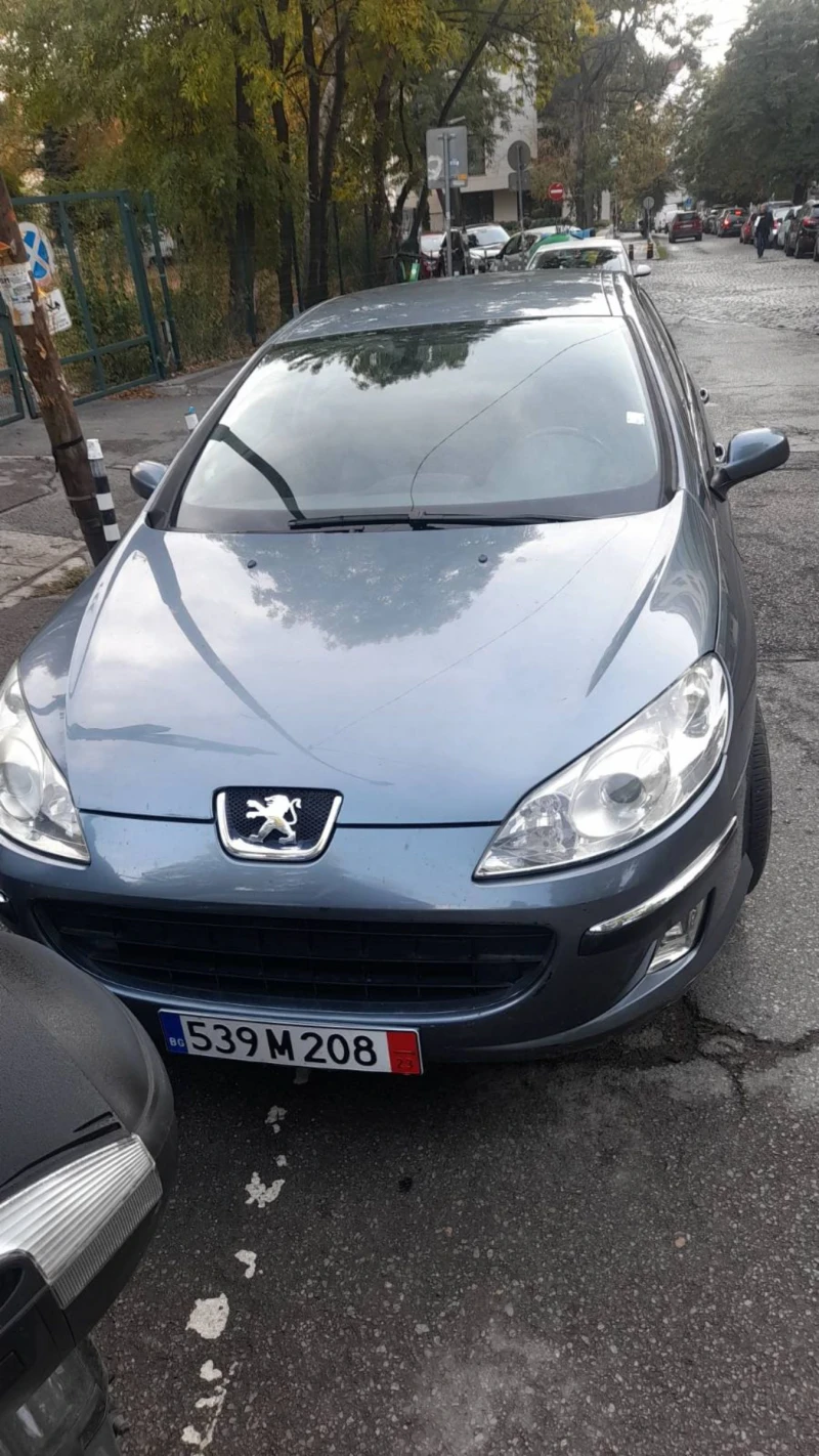 Peugeot 407 2.0HDI 136 кс, снимка 4 - Автомобили и джипове - 47988333