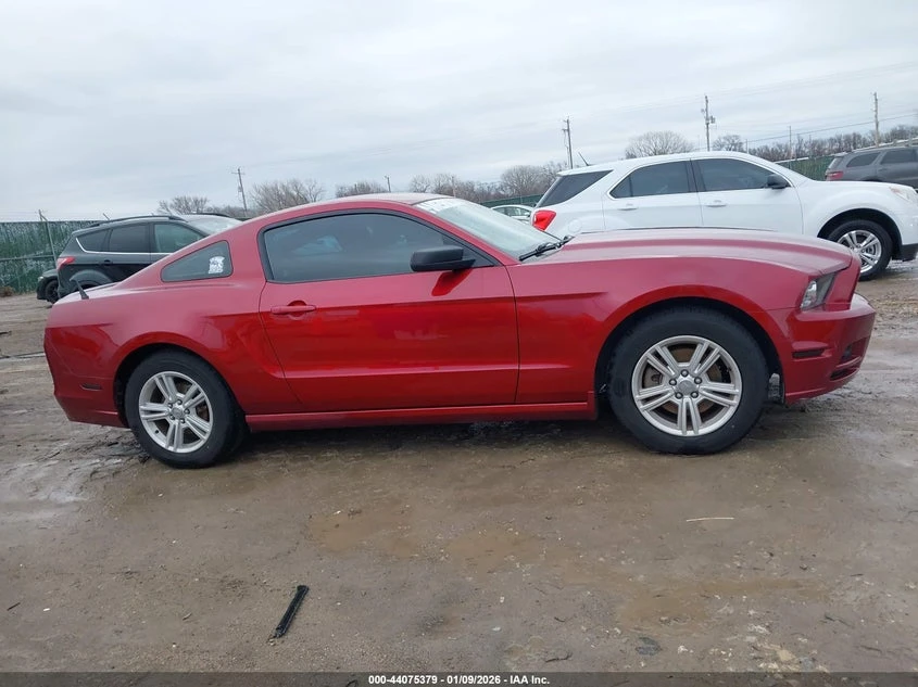 Ford Mustang 3.7l V6, снимка 13 - Автомобили и джипове - 53751019