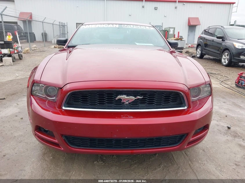 Ford Mustang 3.7l V6, снимка 12 - Автомобили и джипове - 53751019