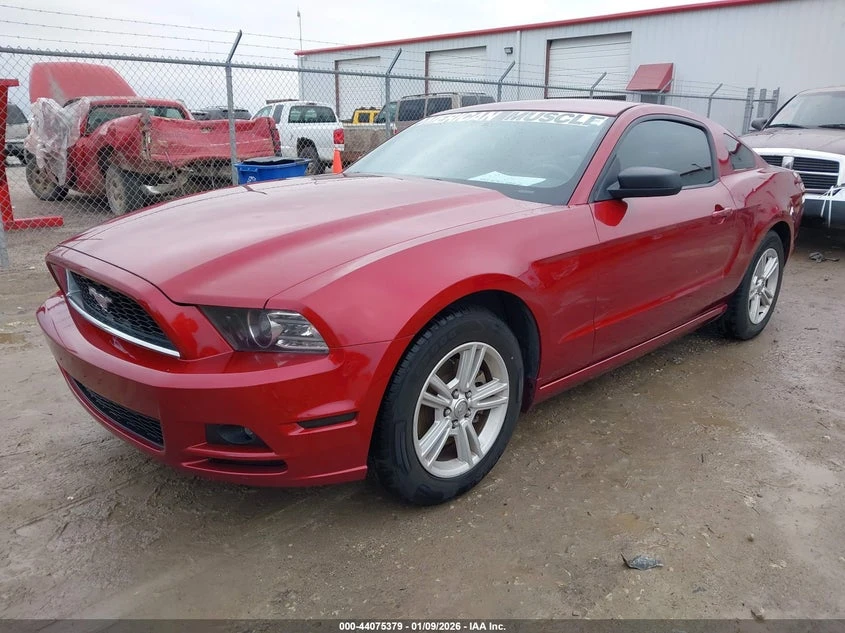 Ford Mustang 3.7l V6 - изображение 2
