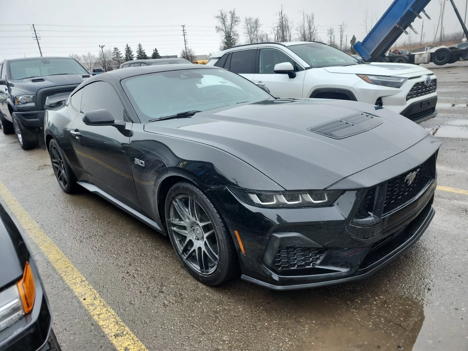 Ford Mustang 5L 8cyl Rear Wheel Drive, снимка 2 - Автомобили и джипове - 53865881