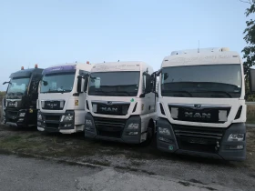 Man Tgx TGX-7    | Mobile.bg    4