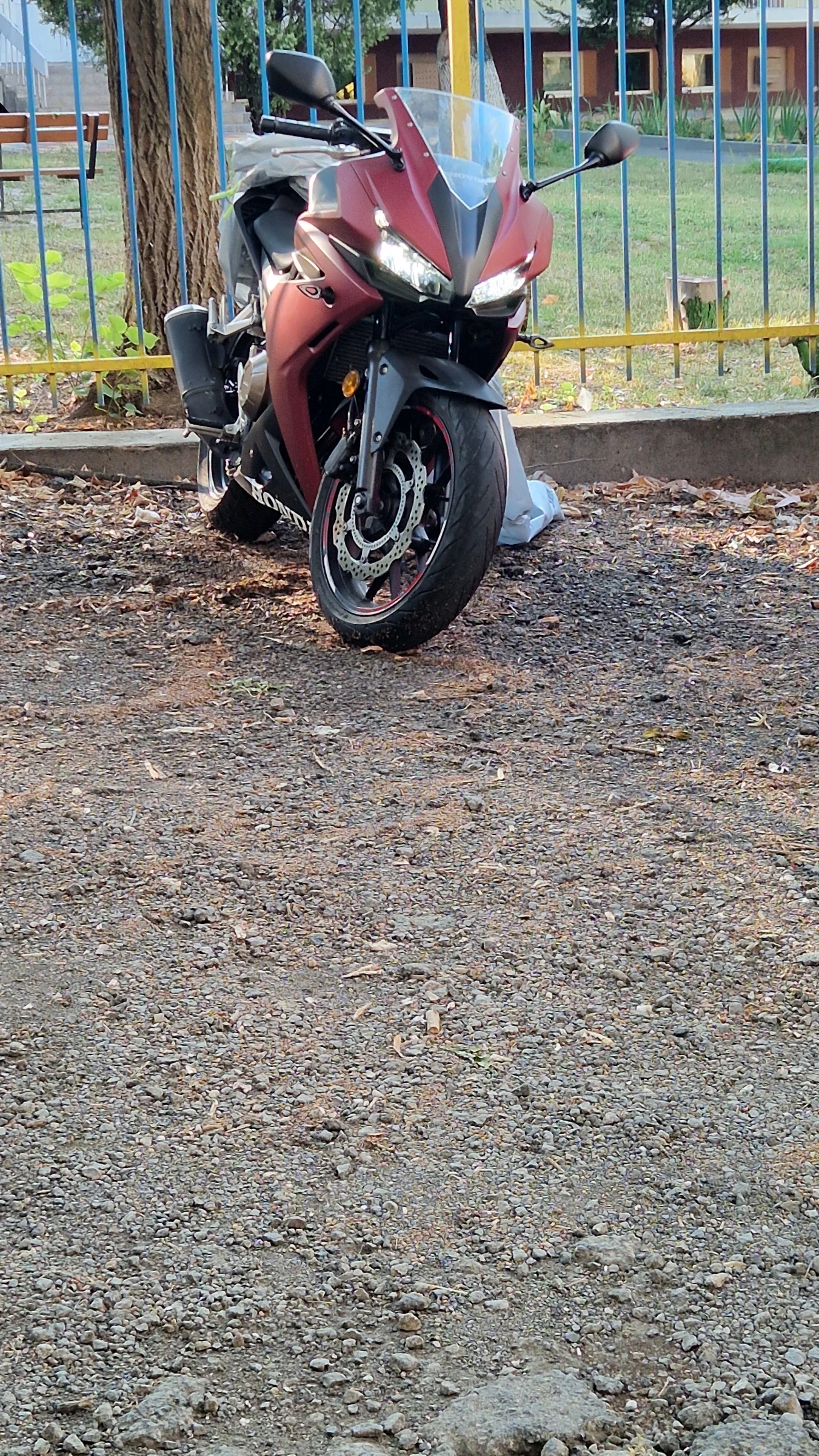 Honda Cbr  - изображение 5