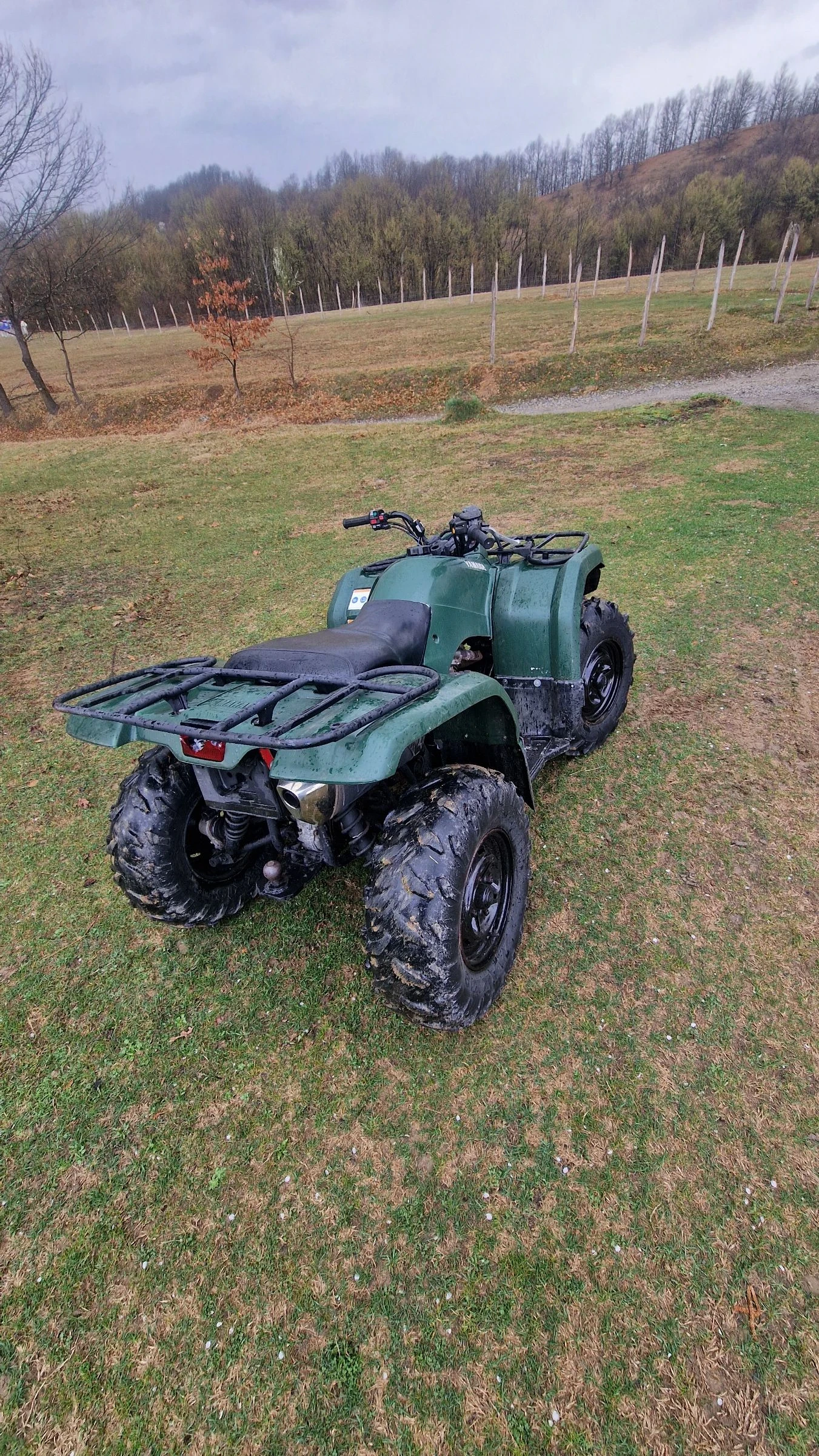 Yamaha Grizzly  - изображение 7