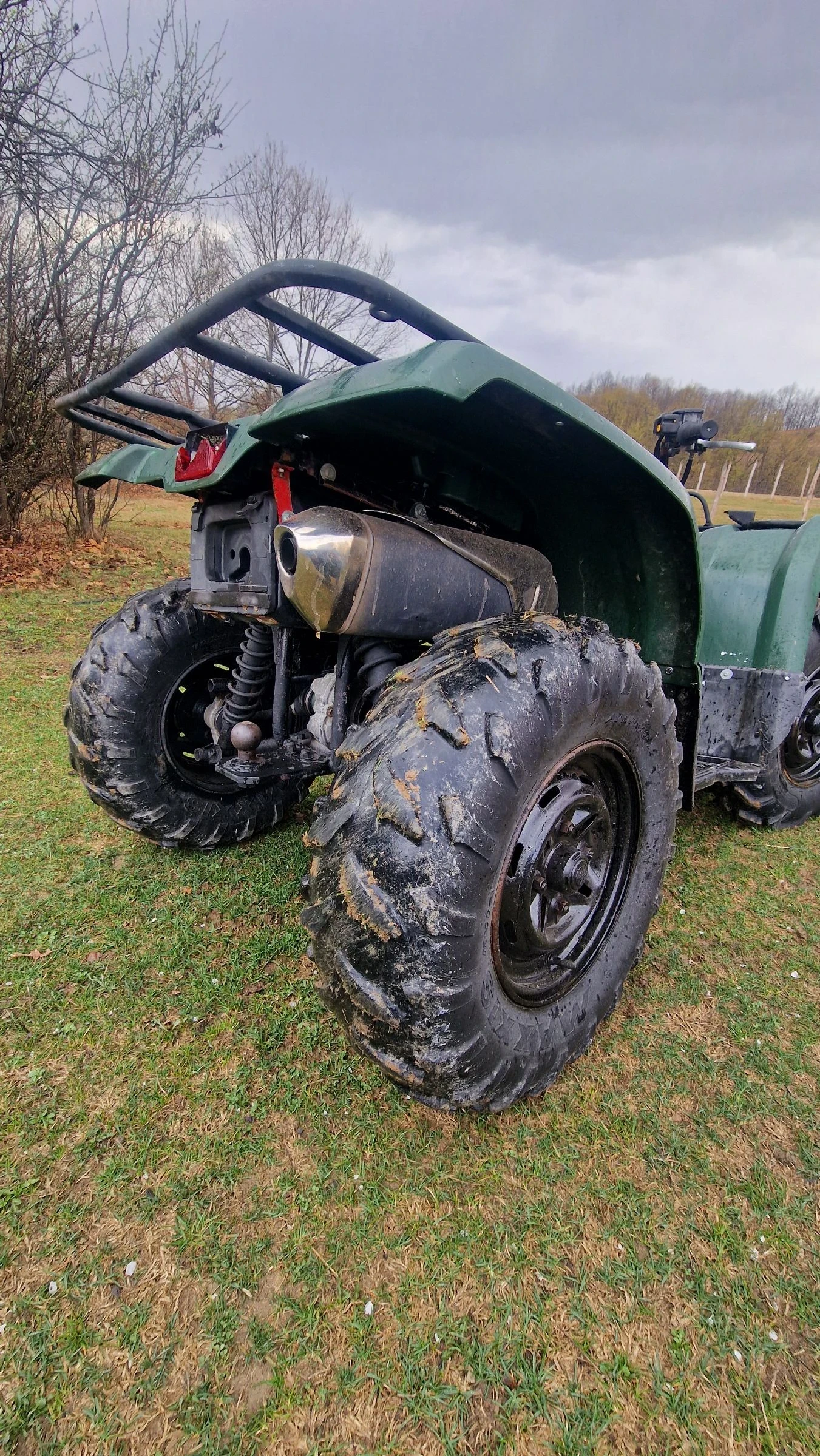 Yamaha Grizzly  - изображение 6