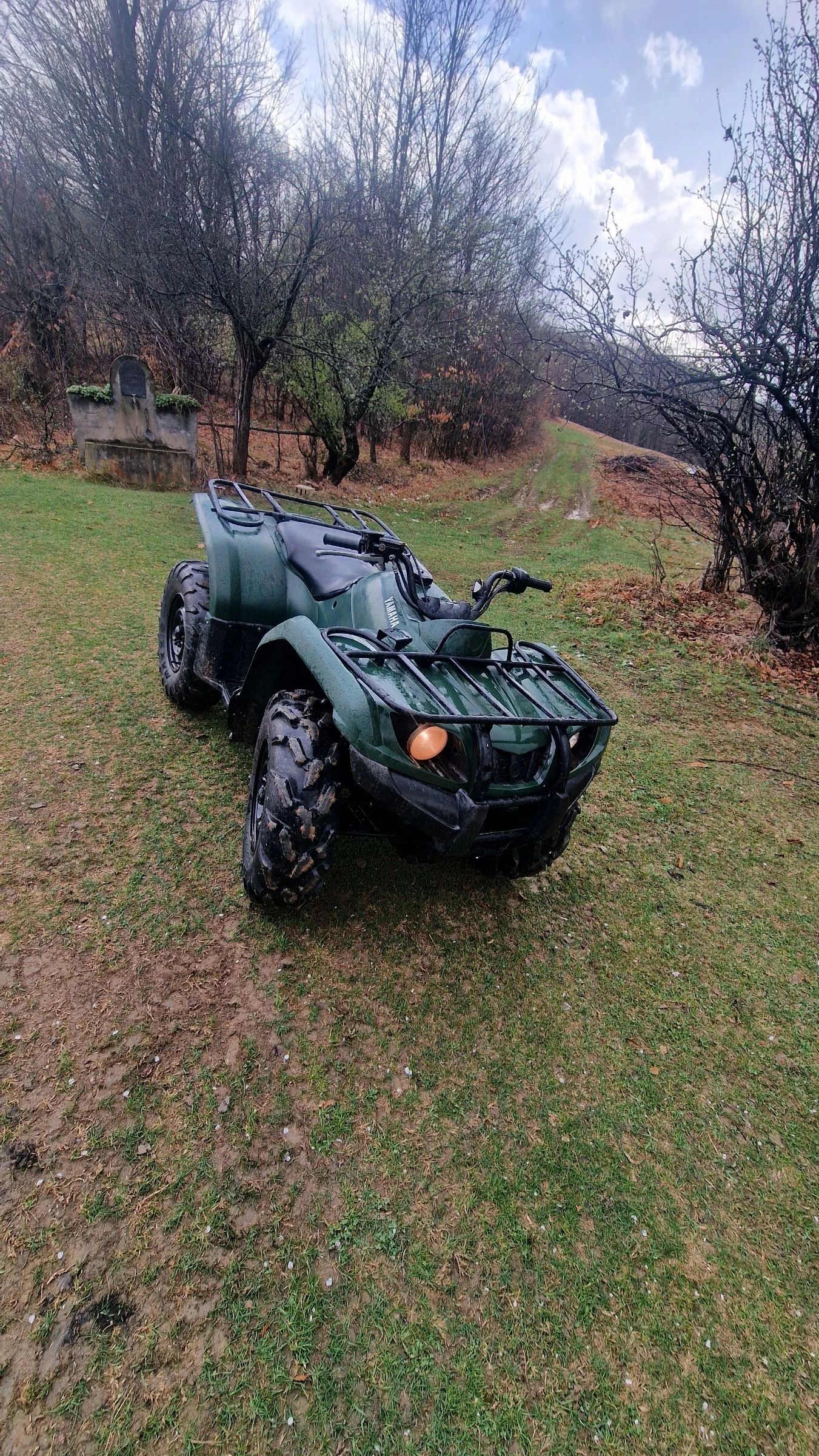 Yamaha Grizzly  - изображение 5