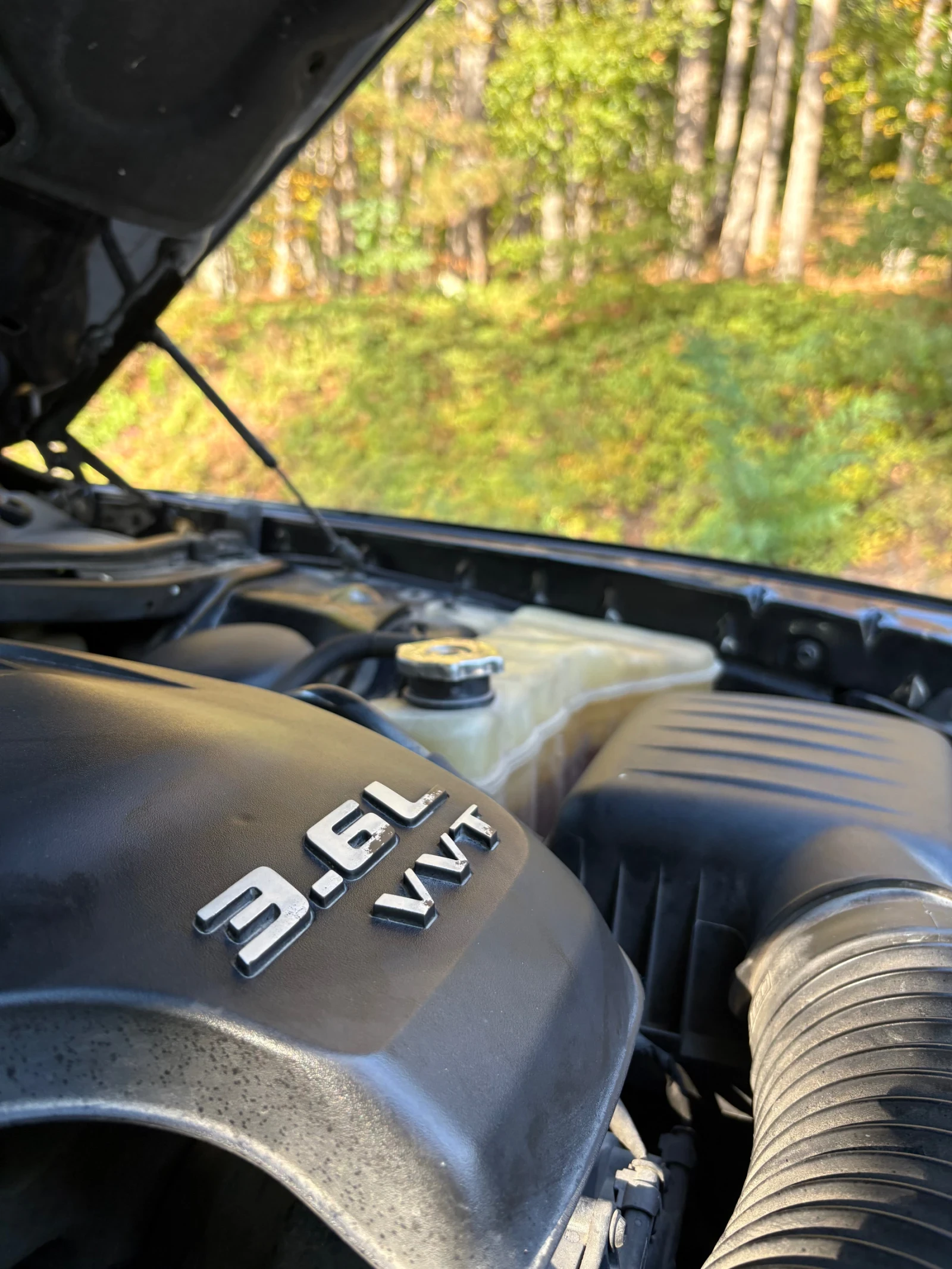 Dodge Challenger 3.6 V6 | Mobile.bg   16