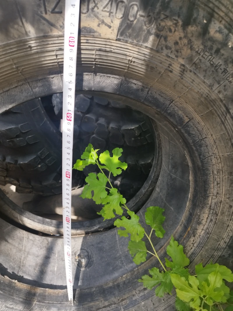 Kamaz 6580 6x6, снимка 4 - Камиони - 53185195