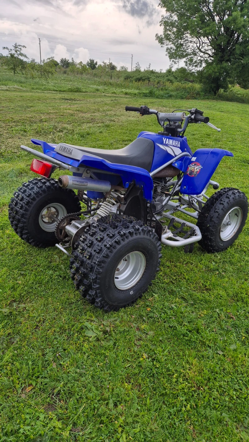 Yamaha Raptor 200, снимка 13 - Мотоциклети и мототехника - 49149091