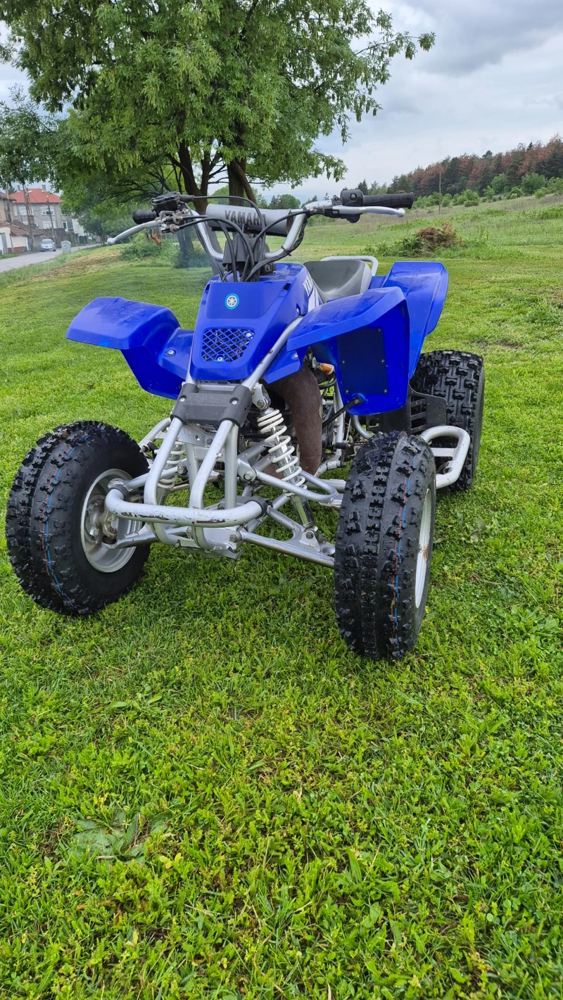 Yamaha Raptor 200, снимка 11 - Мотоциклети и мототехника - 49149091