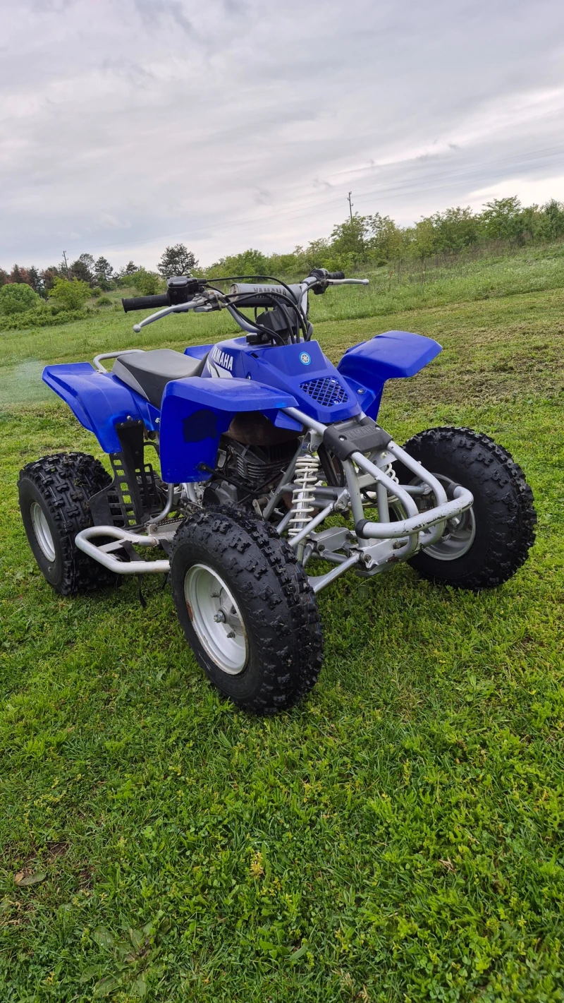 Yamaha Raptor 200, снимка 10 - Мотоциклети и мототехника - 49149091