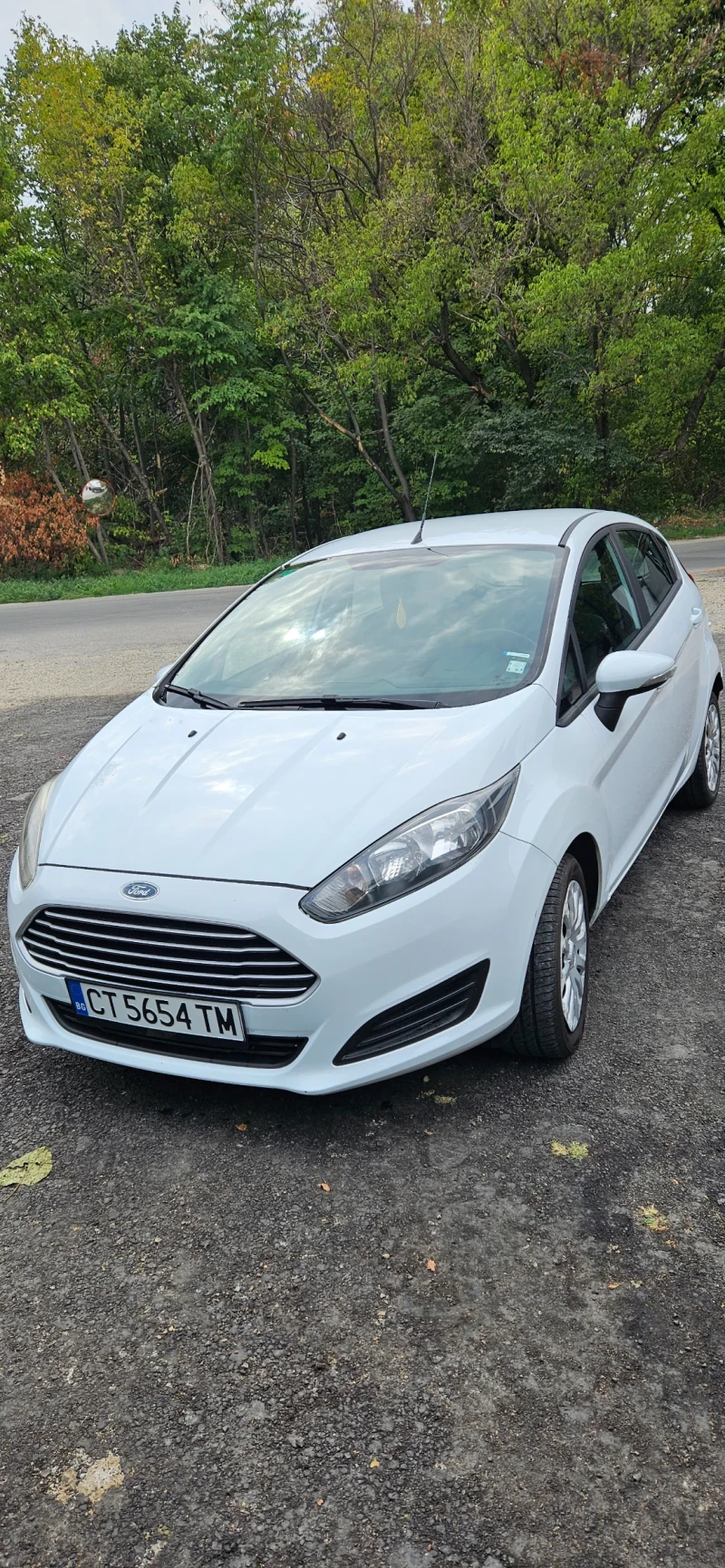 Ford Fiesta 1.0 - 9000 лв. - 95086891 1